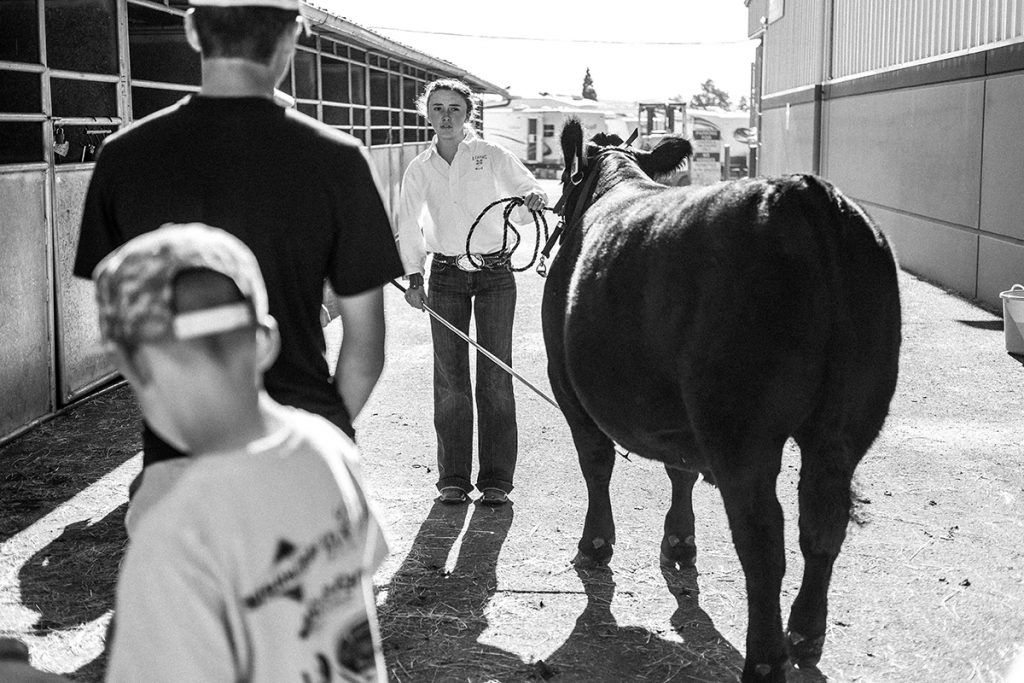 Coastal Linn Country Fair 2