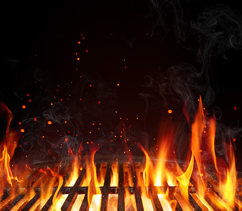 Lawn & Garden Guide Mobile Image