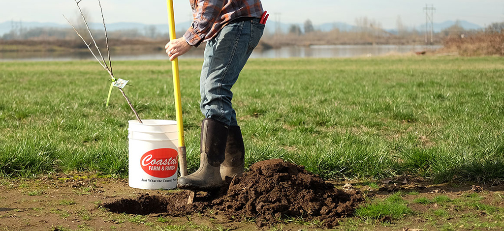 coastal-101-bareroot-planting-2-9-16-035