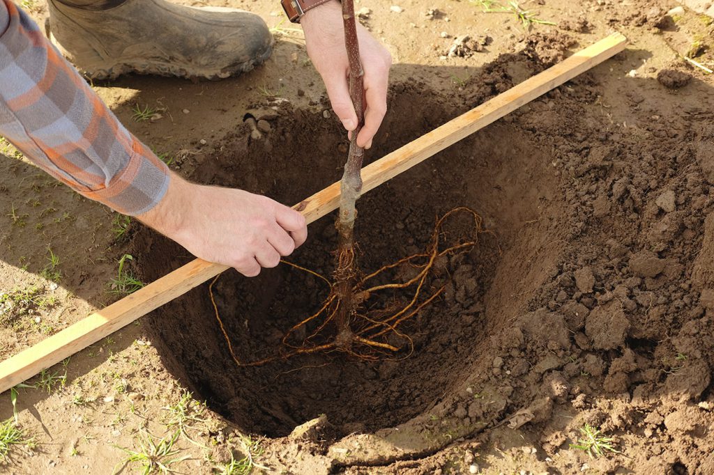 Carefully check hole depth