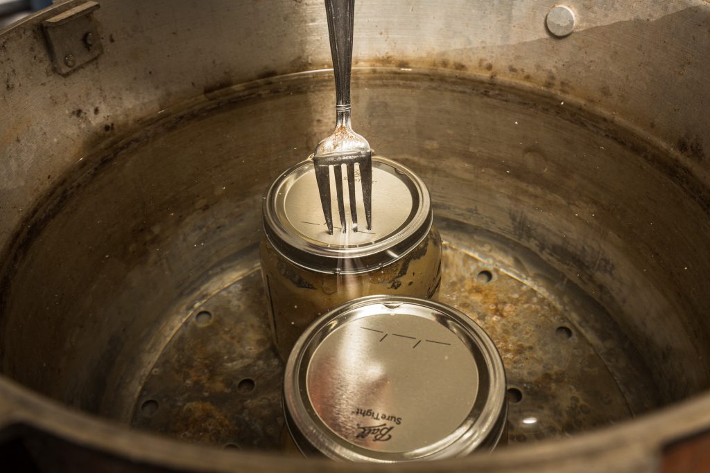 Canning Apples