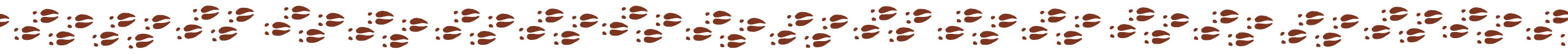 Animal Footprints Across the Page