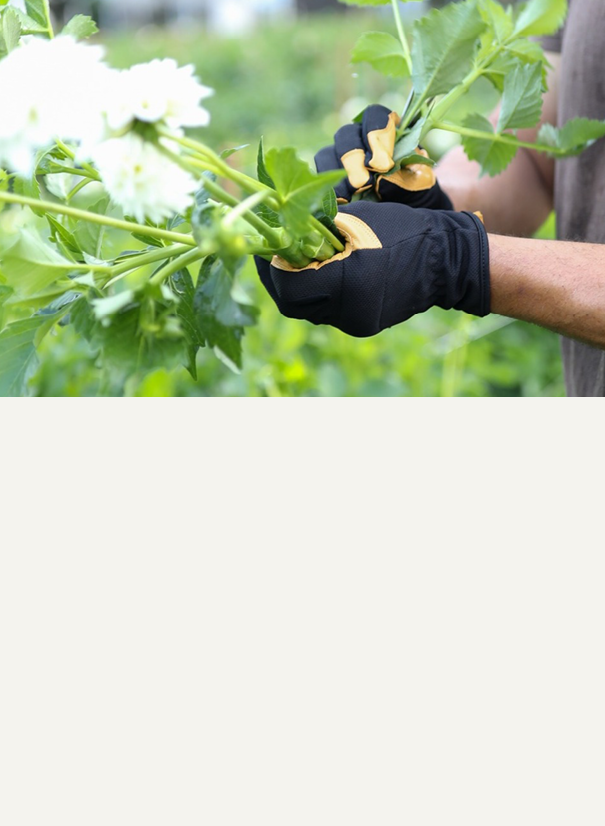 Gardening Gloves