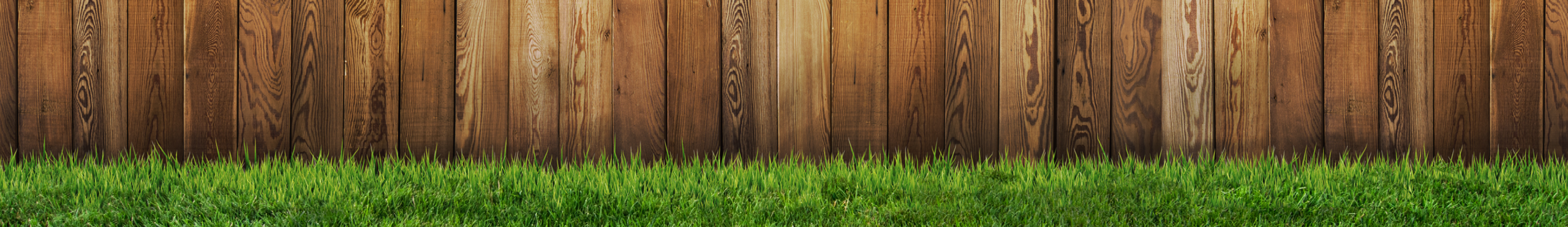 Cut Above Lawn Main Image