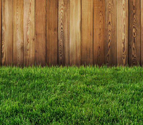 Cut Above Main Image Mobile