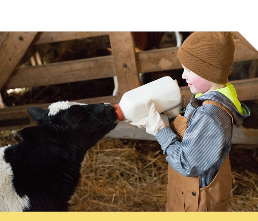Bottle Feeders