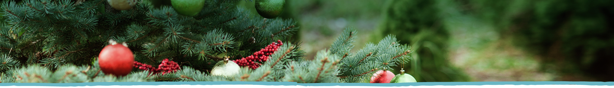 Holiday Gift Guide Desktop