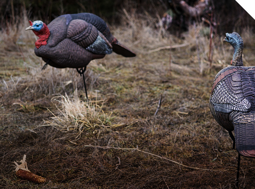 Decoys