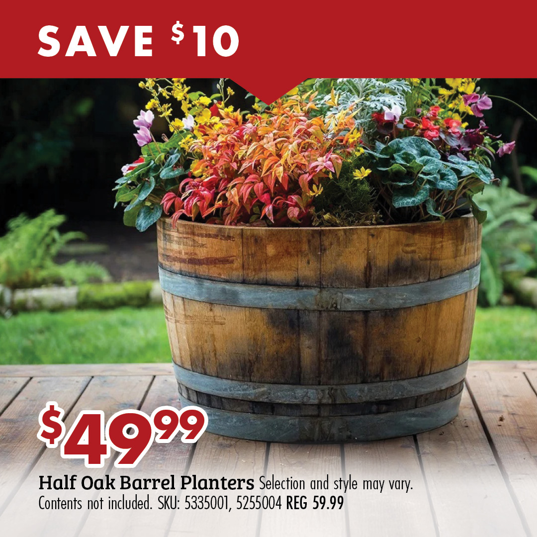 SAVE $10 $49.99 Half Oak Barrel Planters Selection and style may vary. Contents not included. SKU: 52225004, 5255004 REG 59.99