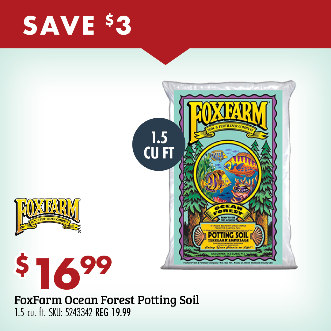 FoxFarm Ocean Forest Potting Soil