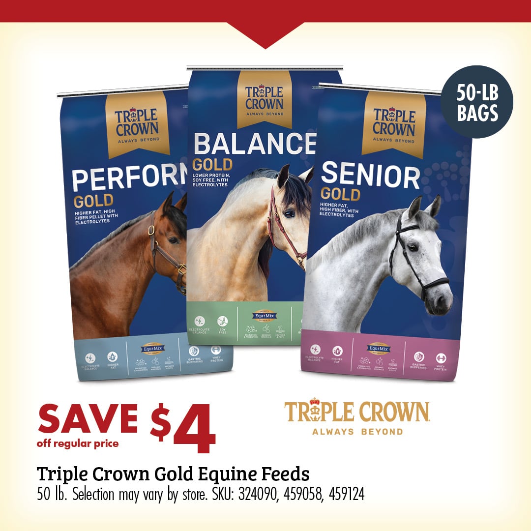 Equine Feed Deal