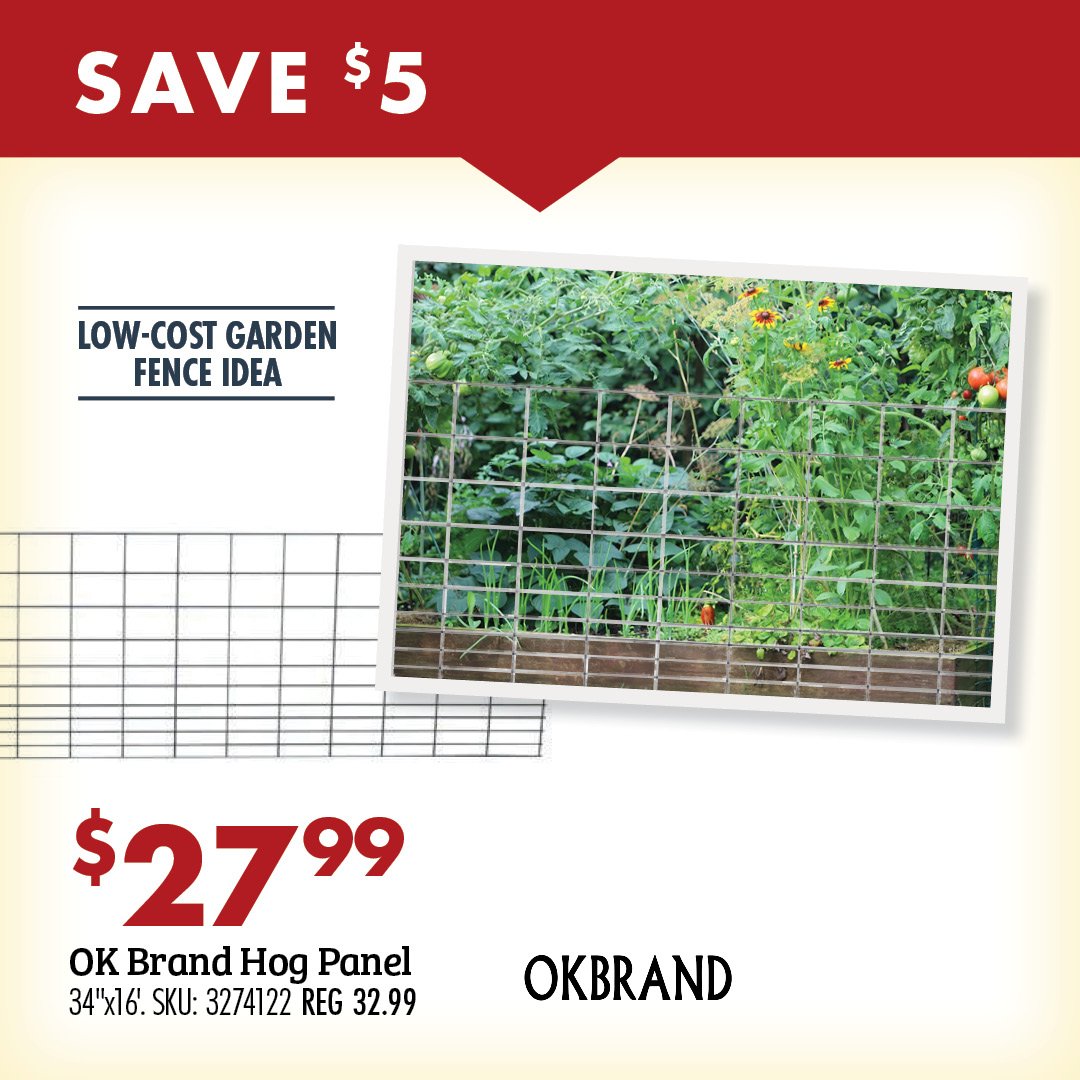 Fence Panel Deal