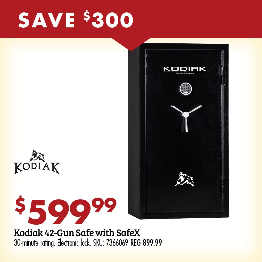 Gun Safe Deal
