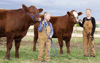 4-H Sign Up