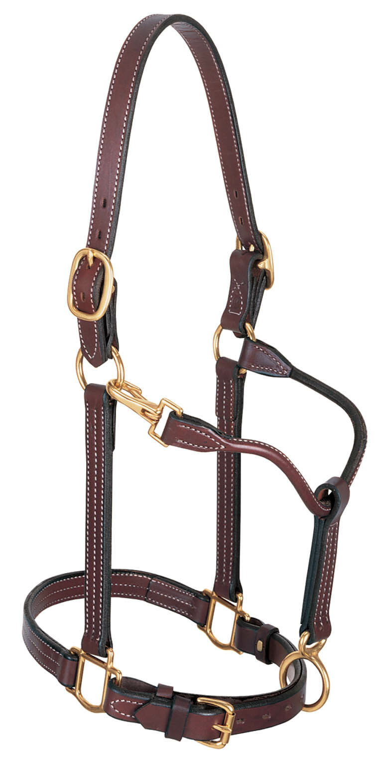 1 TRACK COB HALTER MAHOGANY